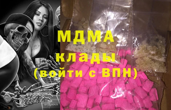 шишки Белоозёрский