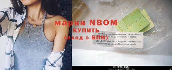шишки Белоозёрский