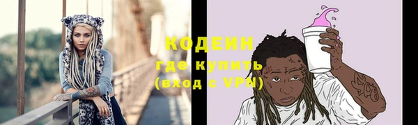 шишки Белоозёрский