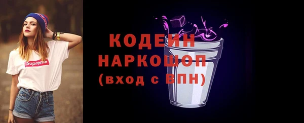шишки Белоозёрский