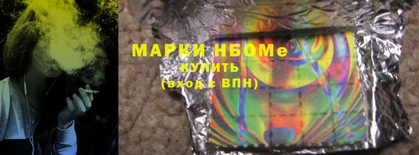 шишки Белоозёрский