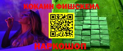 spice Гатчина
