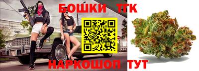 spice Гатчина