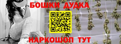 spice Гатчина