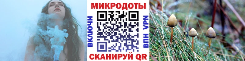 где можно купить   Саяногорск  Галлюциногенные грибы Magic Shrooms 